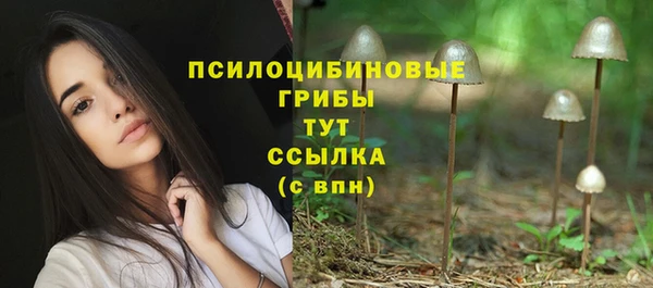гидра Алзамай