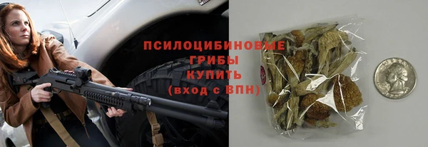 гидра Алзамай