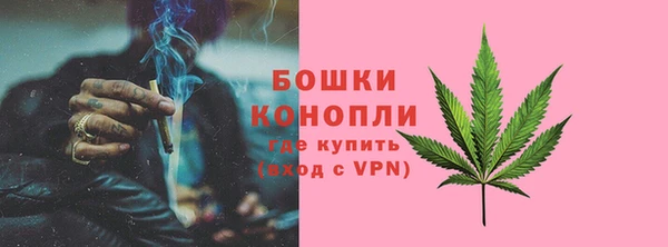 хмурый Пересвет